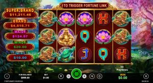 Fortunate Buddha